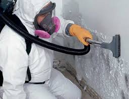 Best Mold Documentation for Insurance Claims  in Mineville, NY